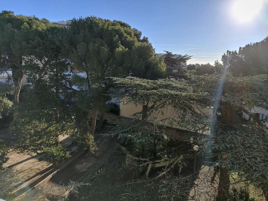 Beau Duplex Vue Mer - Terrasse - Garage - Wifi Сет Екстер'єр фото